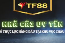 TF88 – Nhà cái uy tín hàng đầu khu vực Châu Á – Update mới nhất 2023