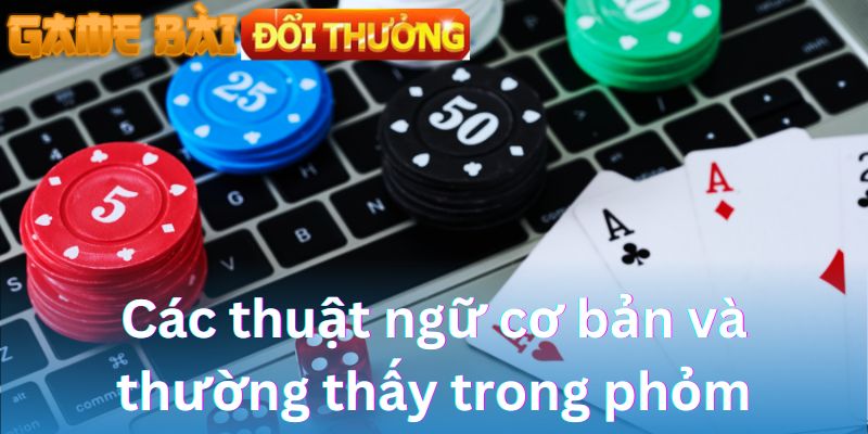 Các thuật ngữ cơ bản và thường thấy trong phỏm