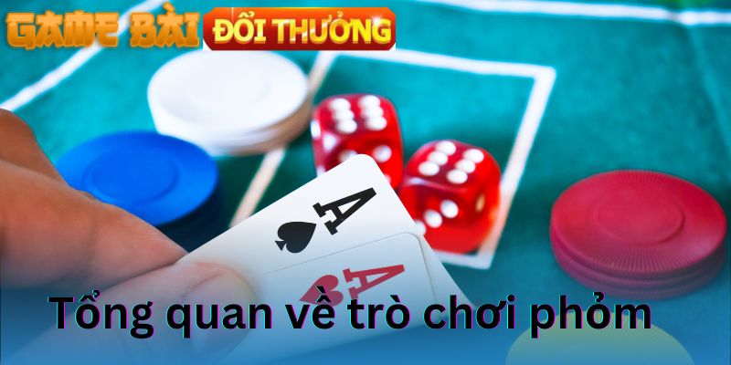 Tổng quan về trò chơi phỏm